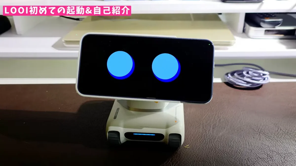 正面から見たLOOIの青い目の表情